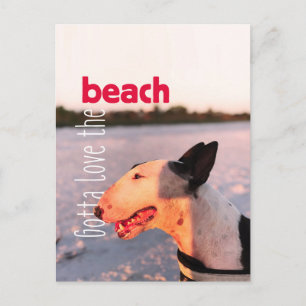 Beauful Bull Terrier Briefkaart "Beach"