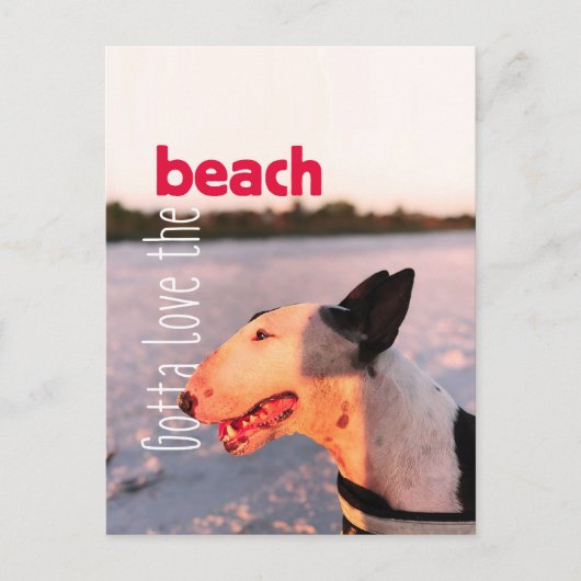 Beauful Bull Terrier Briefkaart "Beach" (Voorkant)