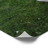 Beauful Bully English Bull Terrier Poster (Hoek)