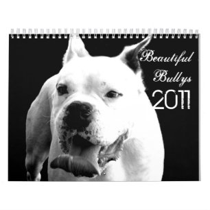 Beauful Bullys 2011 Dog Calendar Kalender