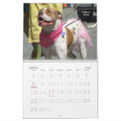 Beauful Bullys 2011 Dog Calendar Kalender (Mar 2026)