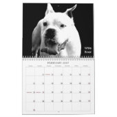 Beauful Bullys 2012 Dog Calendar Kalender (Feb 2027)