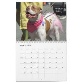 Beauful Bullys 2013 Dog Calendar Kalender (Mar 2026)