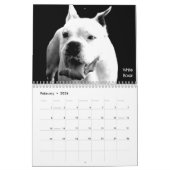 Beauful Bullys 2014 Dog Calendar Kalender (Feb 2026)