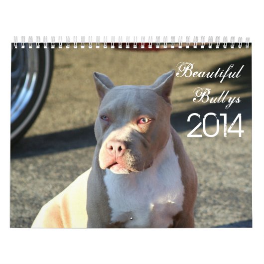 Beauful Bullys 2014 Dog Calendar Kalender (Hoes)
