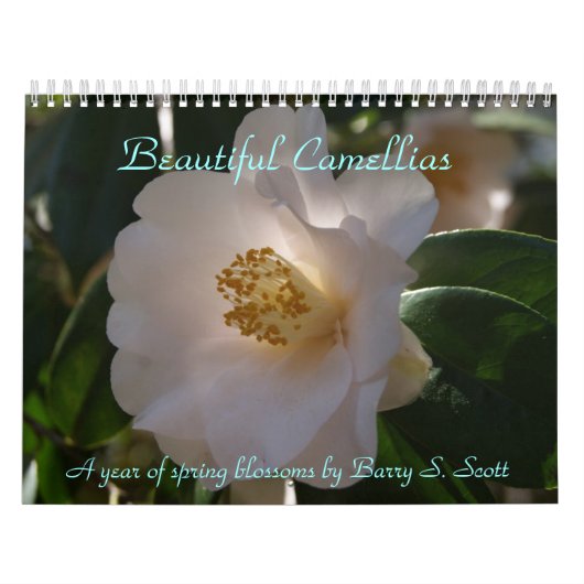 Beauful Camellias-kalender Kalender (Hoes)