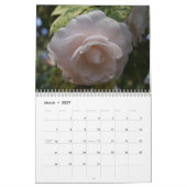 Beauful Camellias-kalender Kalender (Mar 2027)