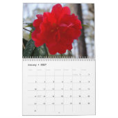 Beauful Camellias-kalender Kalender (Jan 2027)