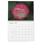 Beauful Camellias-kalender Kalender (Feb 2027)