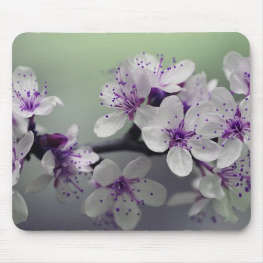 Beauful Cherry Blossom Muismat (Voorkant)