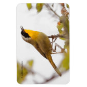 Beauful Common Yellowkeel Warbler Songbird Magneet (Verticaal)