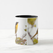 Beauful Common Yellowkeel Warbler Songbird Mok (Midden)