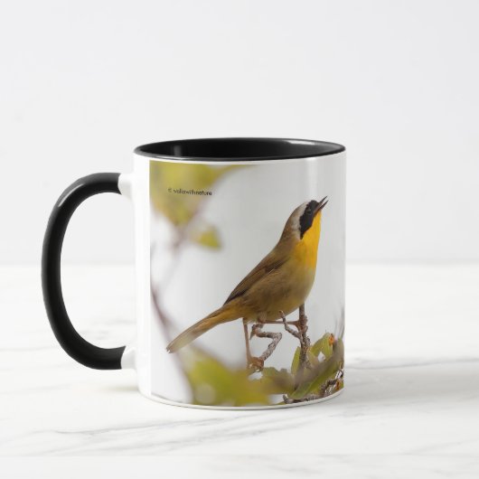Beauful Common Yellowkeel Warbler Songbird Mok (Links)