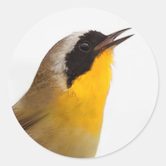 Beauful Common Yellowkeel Warbler Songbird Ronde Sticker (Voorkant)
