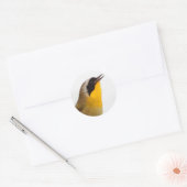 Beauful Common Yellowkeel Warbler Songbird Ronde Sticker (Envelop)