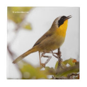 Beauful Common Yellowkeel Warbler Songbird Tegeltje (Voorkant)