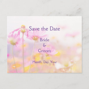 Beauful Cosmos Garden Flower Pink Mauve Paars Aankondigingskaart