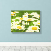 Beauful Daisy Flowers Canvas Afdruk (Insitu (Houten vloer))