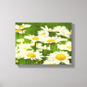Beauful Daisy Flowers Canvas Afdruk
