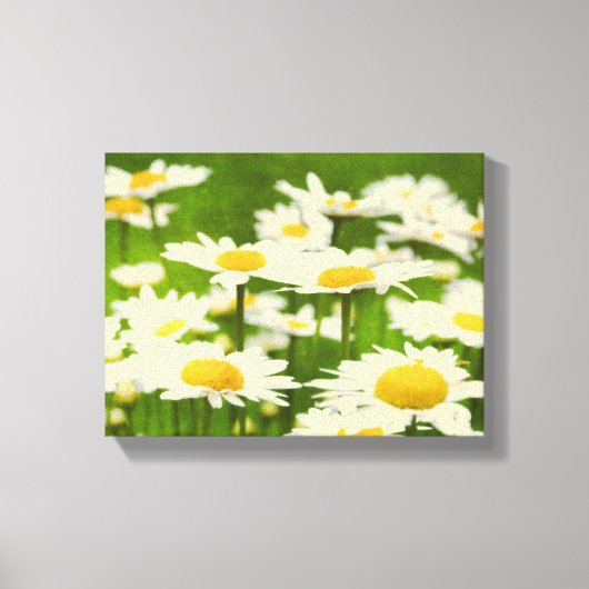 Beauful Daisy Flowers Canvas Afdruk (Voorkant)
