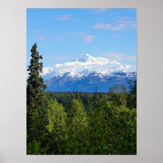 Beauful Denali Poster (Voorkant)