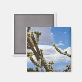 Beauful Desert Cactus Foto Magneet (Voorkant / Achterkant)