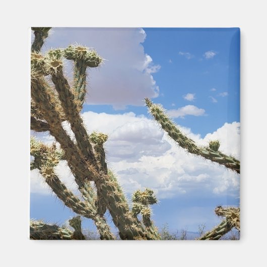 Beauful Desert Cactus Foto Magneet (Voorkant)
