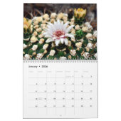 Beauful Desert Scenics Calendar Kalender (Jan 2026)