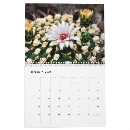 Beauful Desert Scenics Calendar Kalender (Jan 2026)