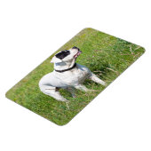 Beauful Dogo Argentino Magneet (Linkerzijde)