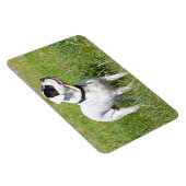 Beauful Dogo Argentino Magneet (Rechterzijde)