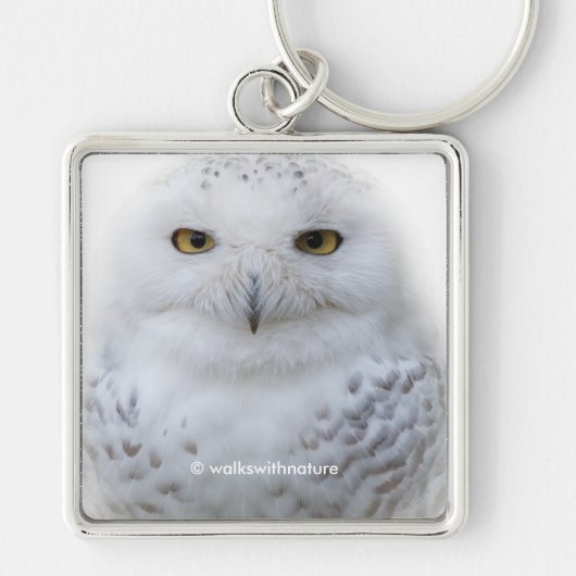Beauful Dreamweaver Serene Snowy Owl Sleutelhanger (Voorkant)