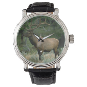 Beauful Elk Horloge