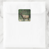 Beauful Elk Vierkante Sticker (Tas)