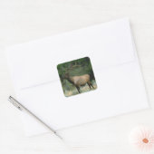 Beauful Elk Vierkante Sticker (Envelop)