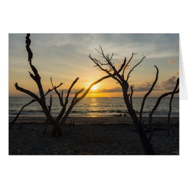 Beauful Folly Morning (Voorkant Horizontaal)