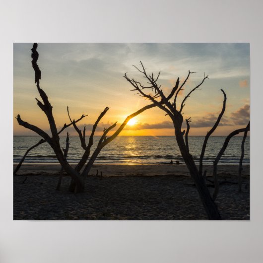 Beauful Folly Morning Poster (Voorkant)