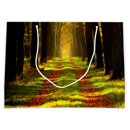 Beauful Forest Path Road Large Cadeautasje (Voorkant)
