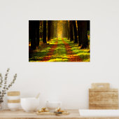 Beauful Forest Path Road Poster (Keuken)