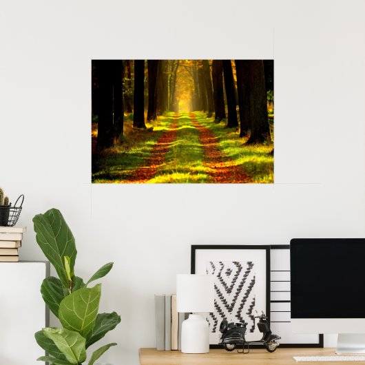 Beauful Forest Path Road Poster (Thuiskantoor)