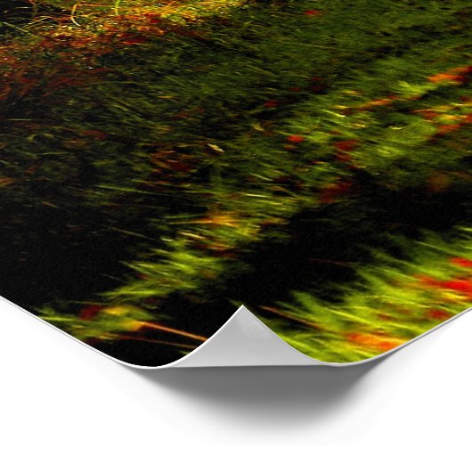 Beauful Forest Path Road Poster (Hoek)