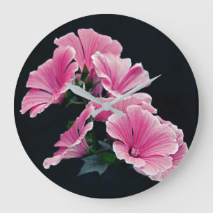 Beauful Garden Pink Mallow Rozen Flowers Grote Klok