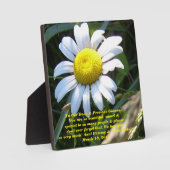 Beauful Gionna Plaque w/daisy Fotoplaat (Voorkant)