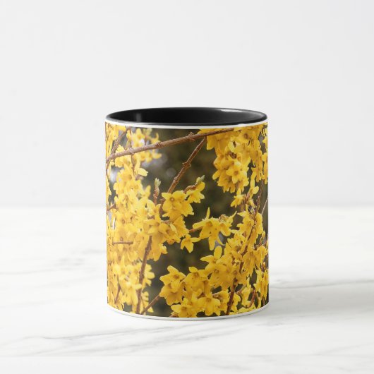 Beauful Golden Forsythia Shrub Mok (Midden)