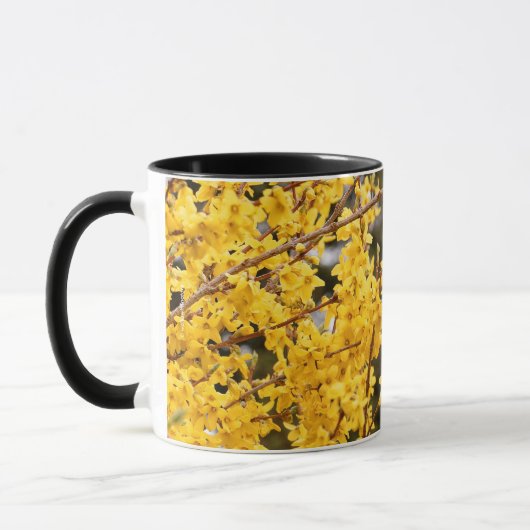 Beauful Golden Forsythia Shrub Mok (Links)