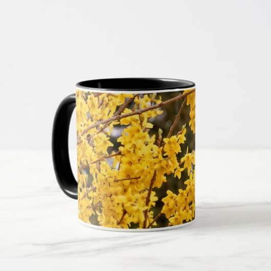 Beauful Golden Forsythia Shrub Mok (Voorkant links)
