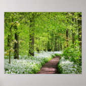 Beauful Green Springtime Forest Foto Poster (Voorkant)