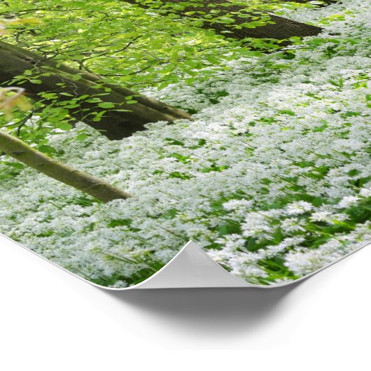 Beauful Green Springtime Forest Foto Poster (Hoek)