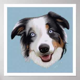 Beauful Hand Painted Australian Shepherd Poster