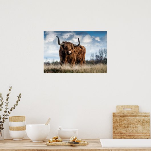 Beauful Highland Cattle Poster (Keuken)